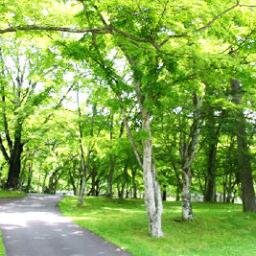 hiroさんのプロフィール画像