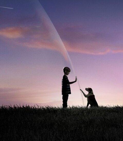 UnderDomePL's profile picture. Under the Dome - zagadka tajemniczej kopuły oddzielającej życie spokojnych mieszkańców Chester's Mill od świata zewnętrznego