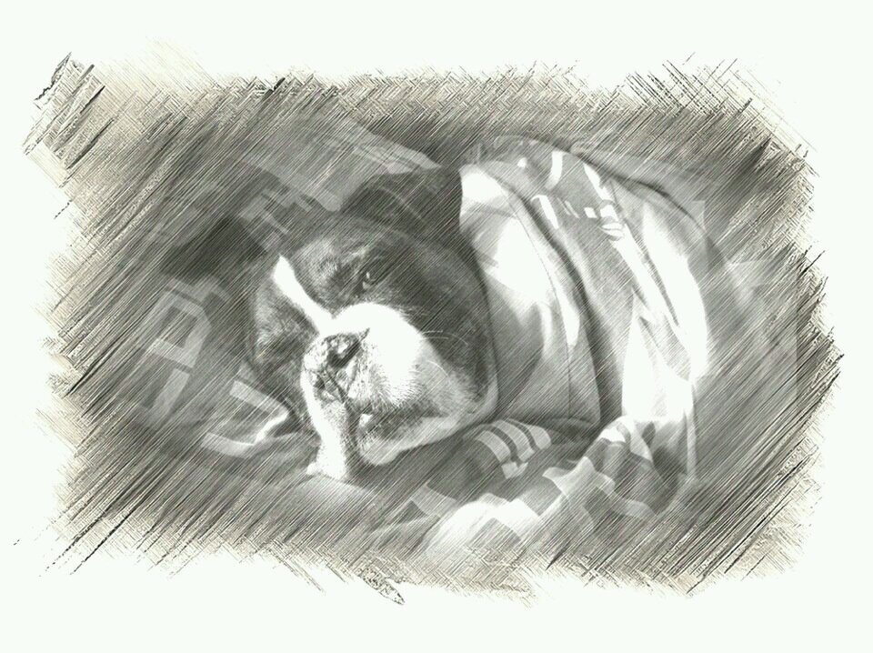 minicombat's profile picture. 