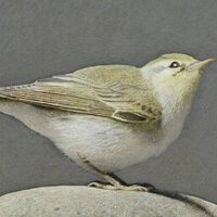 salamon fine art (@artlorenza) 's Twitter Profile