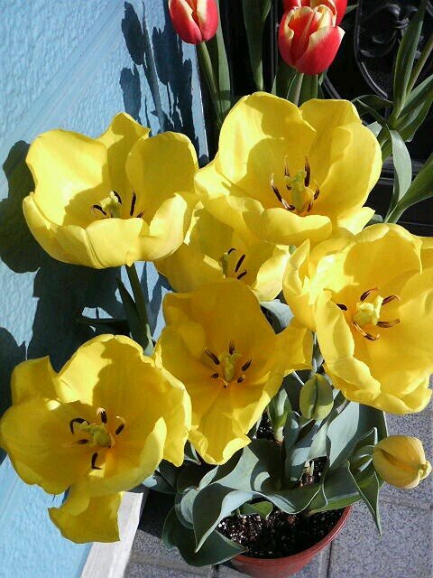 hisa0016's profile picture. 