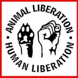respect and freedom for everybody please(PETS INCLUDED) FUCK VIVISECTION ZOO AND CIRCUS
