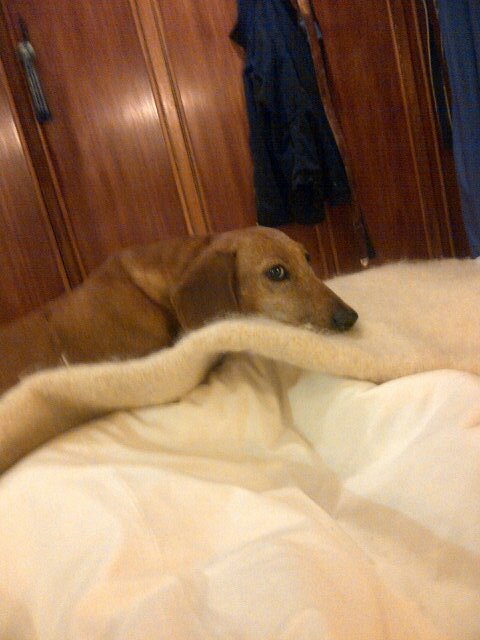 engineeringph's profile picture. 