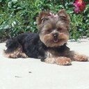 Tina Eddy - @TinaHallEddy - Twitter