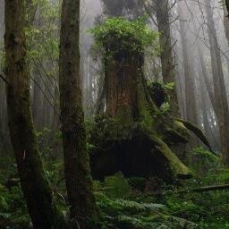 Naturgewalt im Einmachglas