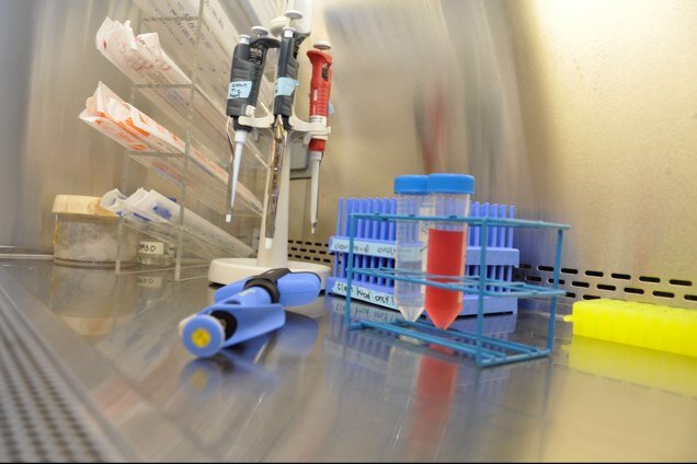 Sharing the keys to a successful career in biomedical research. Via blog, virtual office hours and in-person seminars/workshops...Knowledge is power!