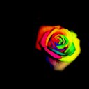 Kami Berry - @KamiB11 - Twitter