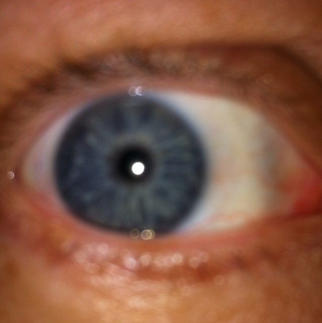 DissingDave's profile picture. 