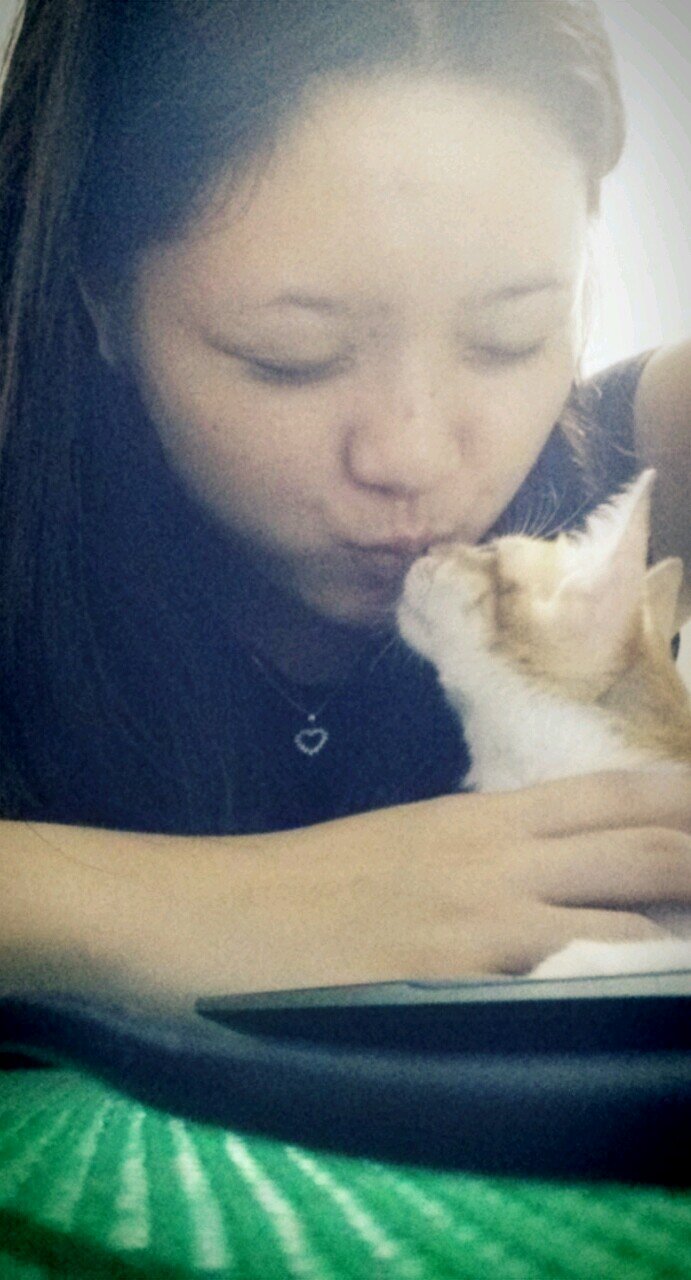 thesolangestory's profile picture. 헐 대박 사건