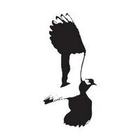 tim marlow (@wildrainsbrook) 's Twitter Profile Photo tim marlow (@wildrainsbrook) 's Twitter Profile Photo