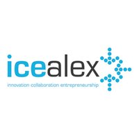 icealex (@icealexhub) 's Twitter Profile