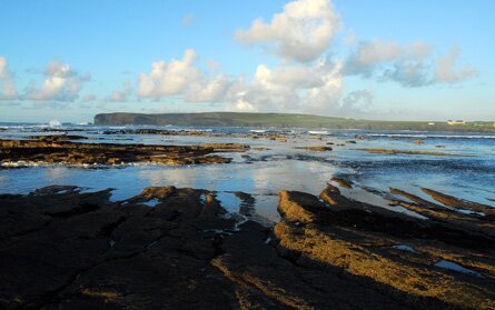 DiamondRocksCaf's profile picture. The Diamond Rocks cafe is situated at the west end of Kilkee, on the beautiful cliff walk and over looking the Pollock holes and George's Head.