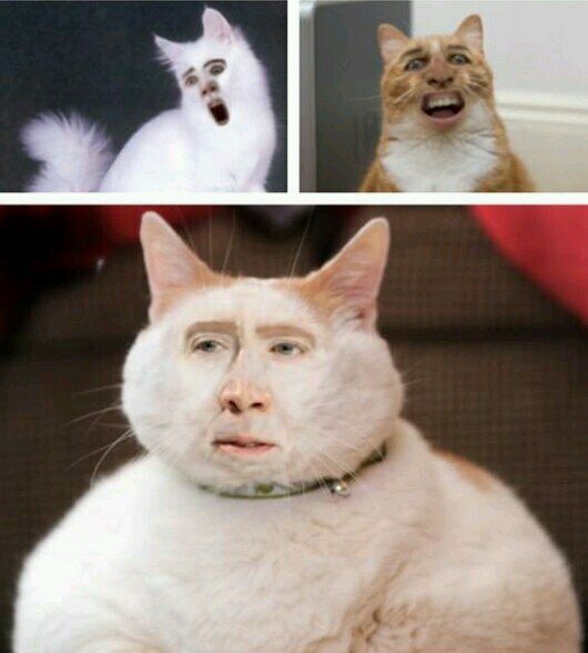 imJohanna_'s profile picture. this acc is a free follow by @wufanizer

GO FOLLOW HER AND YOU WILL GET ANOTHER FREE FOLLOW :)))