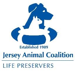 Jersey Animal Coalition is a no-kill, not-for-profit, all-volunteer coalition organized in 1989.
