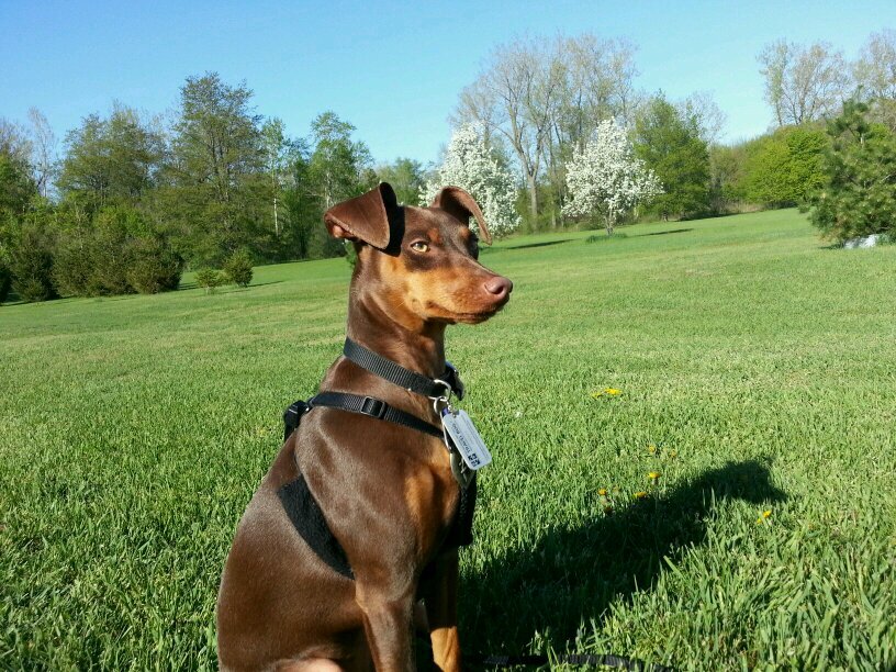 SH00TlNGSTAR's profile picture. 