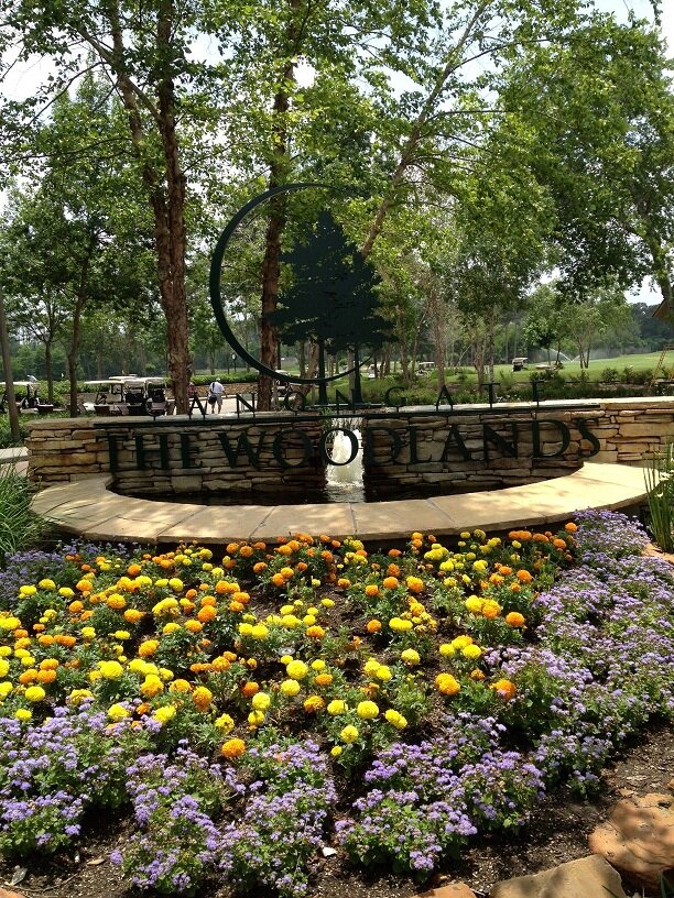 woodlandsIwatch's profile picture. 