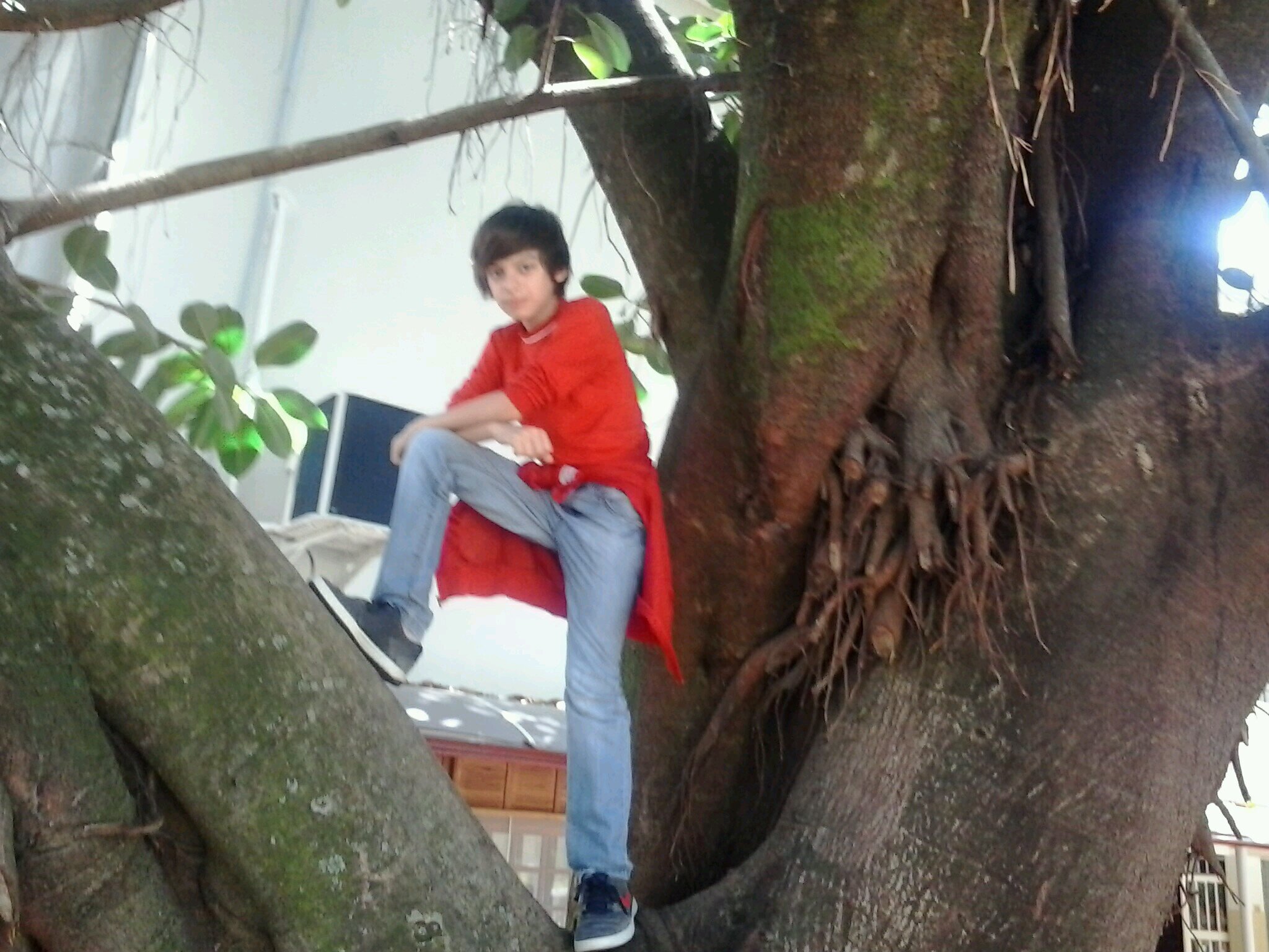 gosto de video games, pizza, facebook, skype, Quadrinhos e PS3 :)