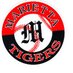 Tiger Baseball (@mttabaseball) Twitter profile photo