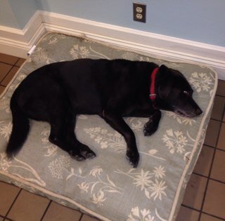 marydeedenning's profile picture. 