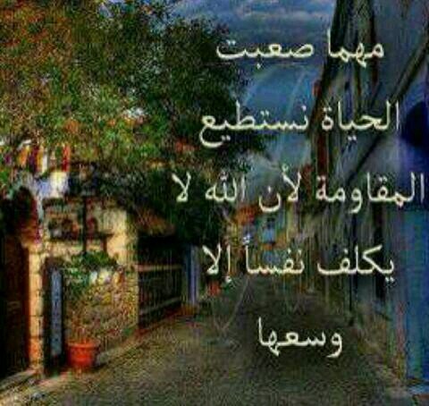 يحسبون المشاعر لعب ورق