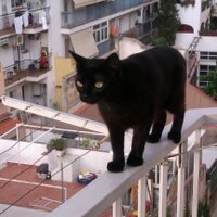 JSeras (@joaquinseras) 's Twitter Profile Photo JSeras (@joaquinseras) 's Twitter Profile Photo