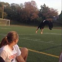 Father Ed Bresnahan (@fatherbresnahan) 's Twitter Profile Photo Father Ed Bresnahan (@fatherbresnahan) 's Twitter Profile Photo