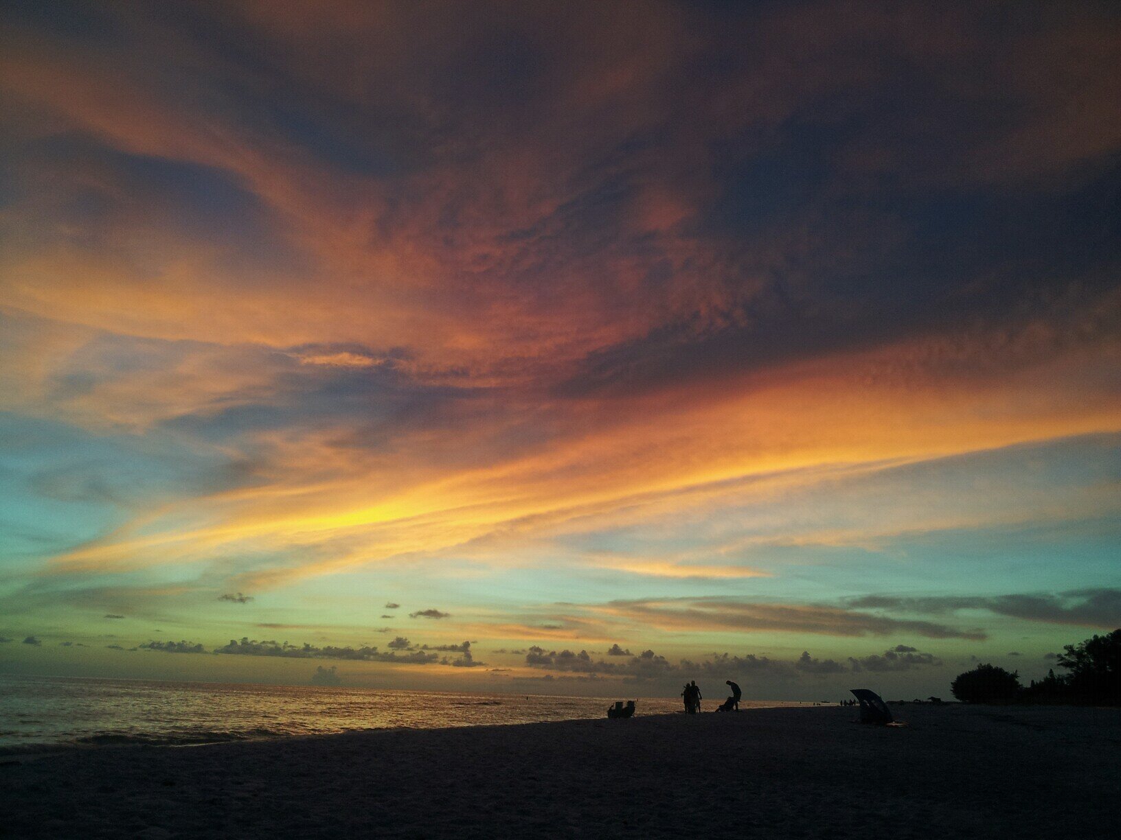 ElinorZito's profile picture. 