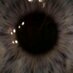 op (@op_opqo) Twitter profile photo