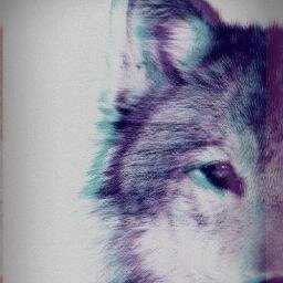 Diseñador grafico. Instragram: javierhart. XOXO #FollowBack