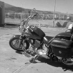 sekssanattir1's profile picture. ekspresyonizme hastayım, klasisizmde ustayım. yalarım. (severek yalıyoz abi. pardon abla.)