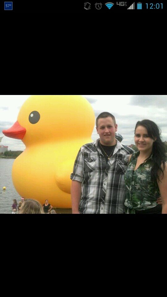 JFet29's profile picture. 