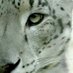 Noelia D (@nldrpz) Twitter profile photo