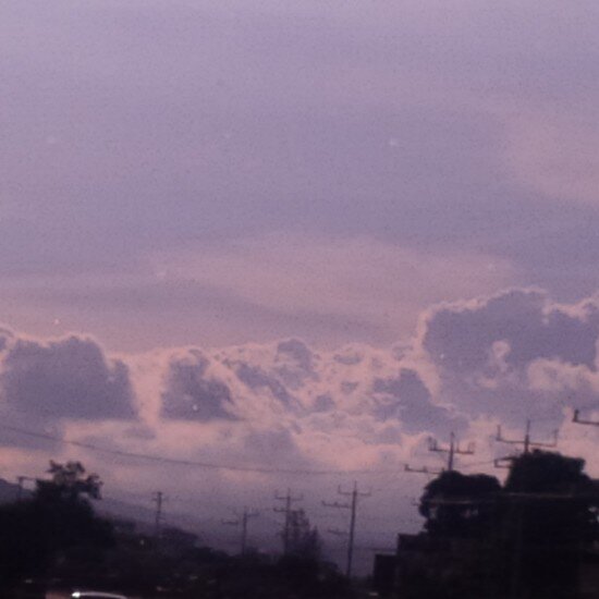 JavierL87125211's profile picture. 