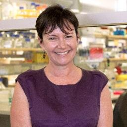 Developmental biologist, reproductive biologist, teacher and mentor at School of Biomedical Sciences, UQ