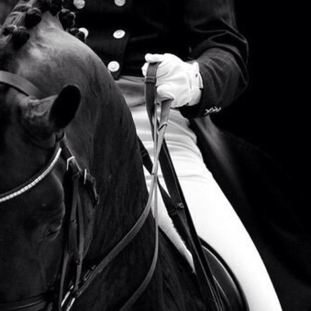EventingDiva's profile picture. because 3 phases is like really, really hard