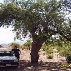 emiliocastro245's profile picture. 