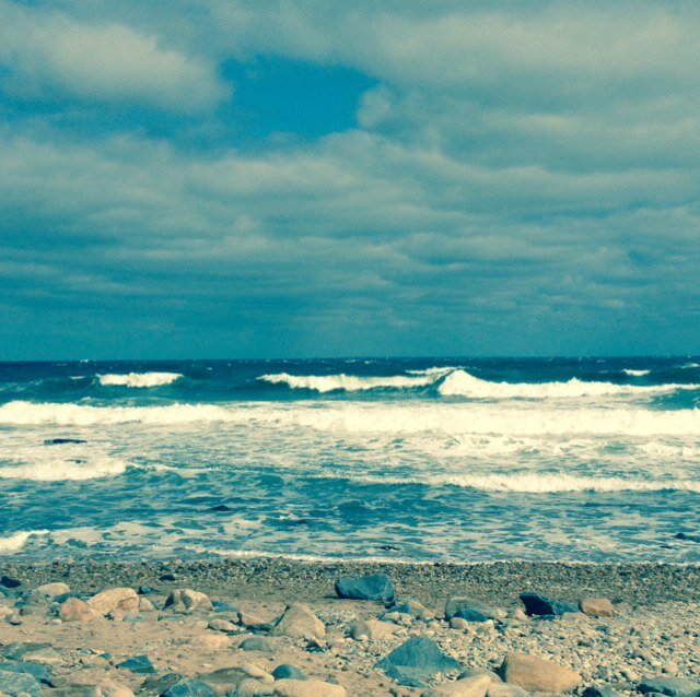 Carinaaaa2's profile picture. 