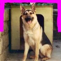 Wobbly One (@wobbly_one) Twitter profile photo