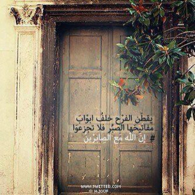 مشرفه دور نسائيه / عضو في جمعية الجنوب / عضو في مكتب الدعوة/ مدربه معتمده