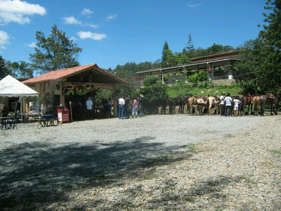 alexnaranjol's profile picture. 