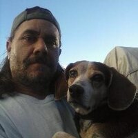 James Stafford (@treesnbeesavl) 's Twitter Profile