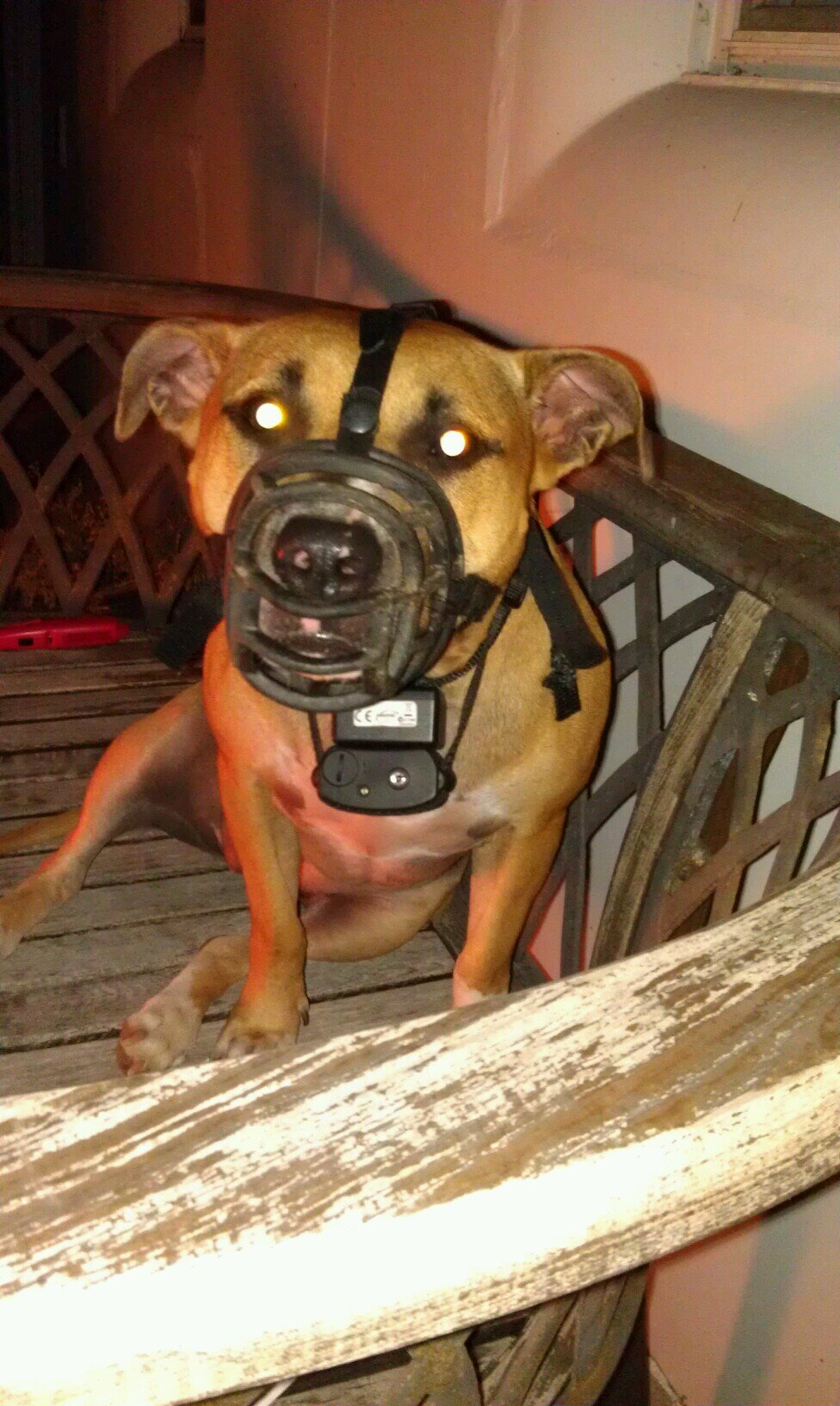 TheEyeInTeam's profile picture. 