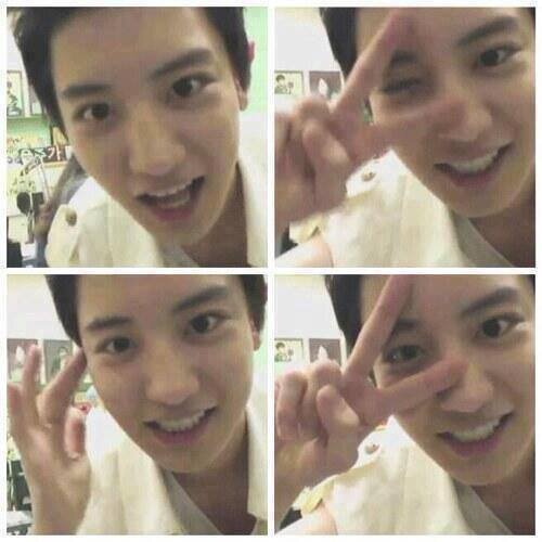 ChaanDOCHI's profile picture. Certified EXOTIC & DIRECTIONER ☺