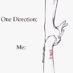 I wanna be a singer. Im a directioner/lovatic/5SOSer / and a Mixer weyy heey!  Cx #hipstaa