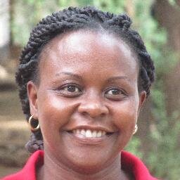 Internet interpreter, trainer, fundraising and documentation