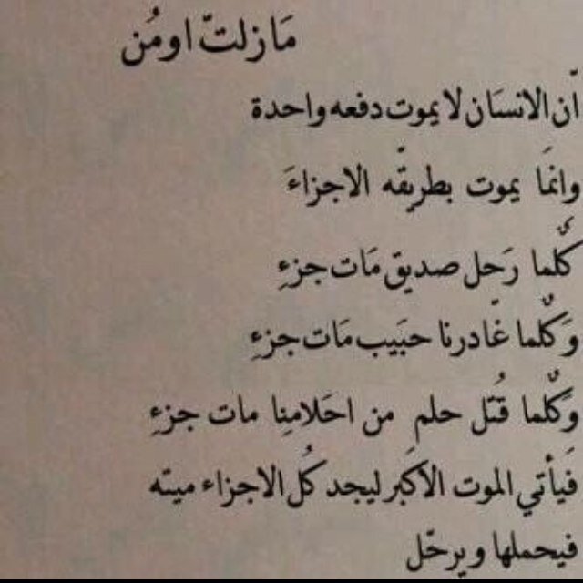 11abu_samer's profile picture. 