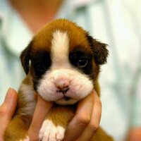 이은희 (@lyj901011) 's Twitter Profile Photo