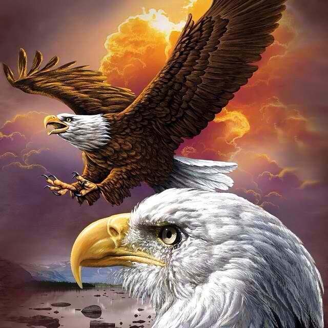 RandallLucas3's profile picture. Wherever the road leads me i shall go.