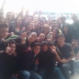 animo fiesta