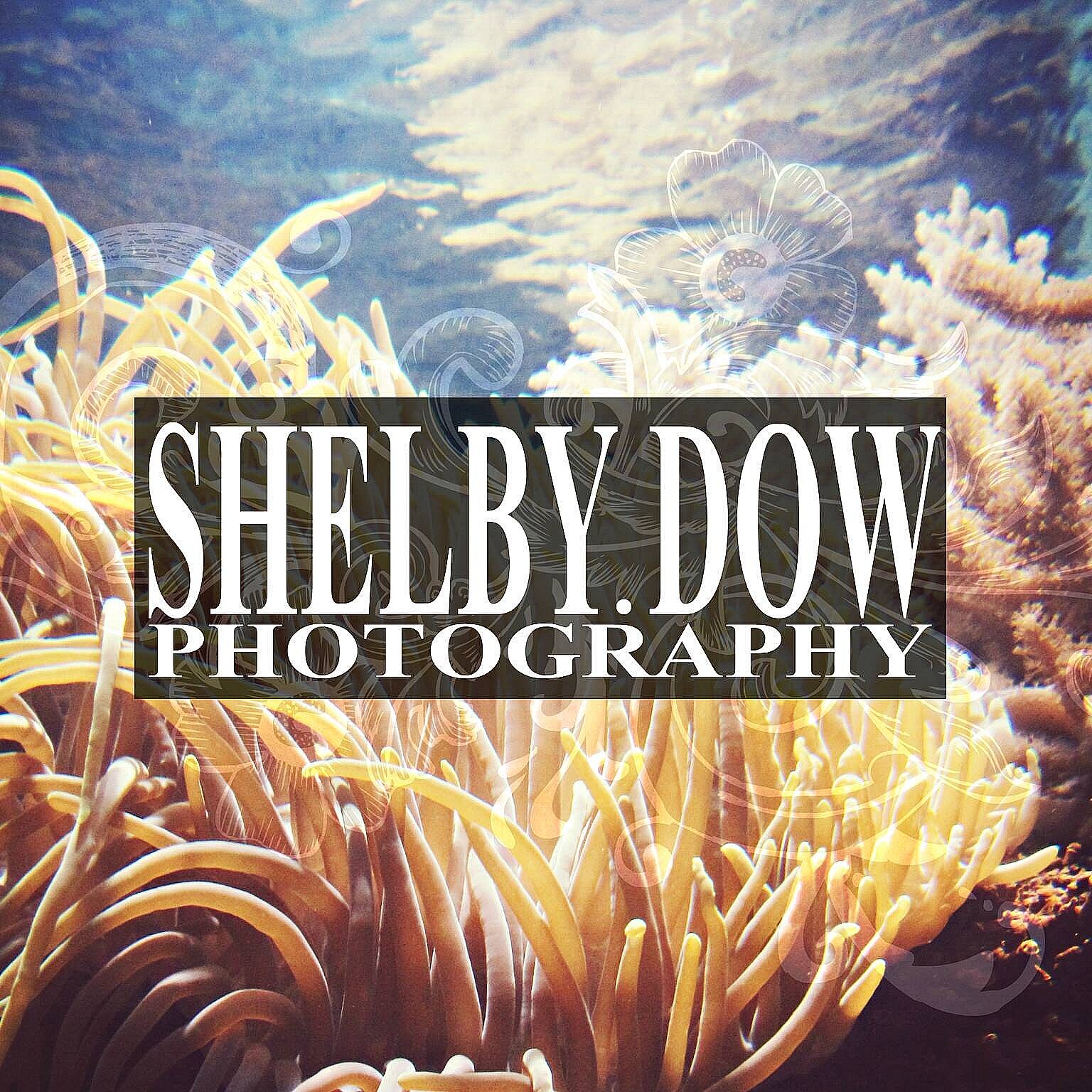 Shelby.Dow Photography
Keeping the Moments Alive